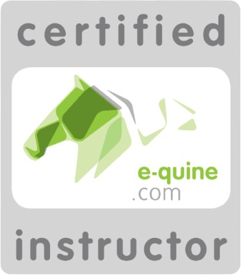 equine certified instructor